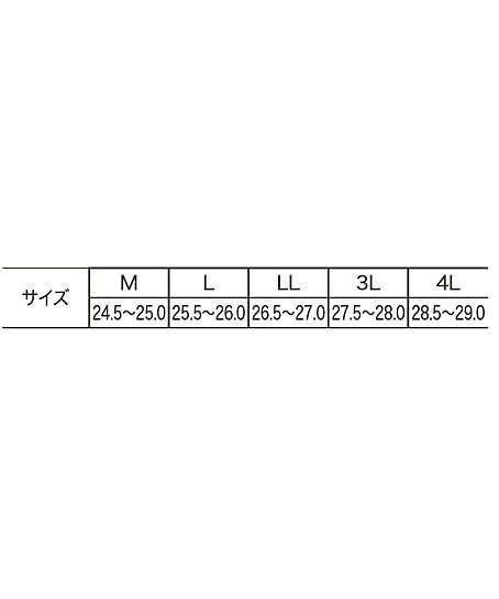 JB85726用入替インナーソックス サイズ詳細