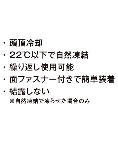 【暑熱対策】アイスヘッドパット「REIKA」