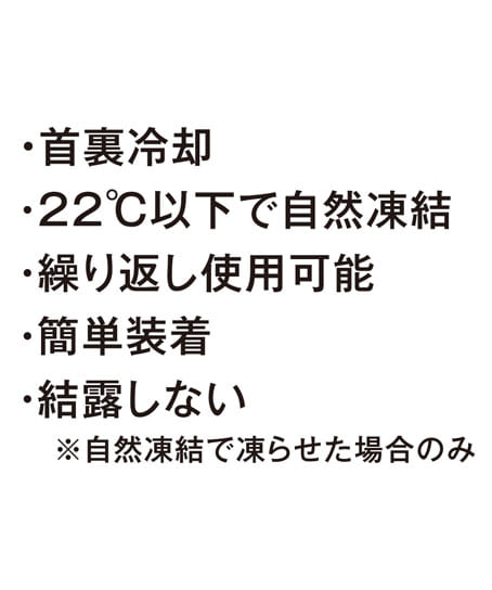 【暑熱対策】アイスフラップ「涼RUN」