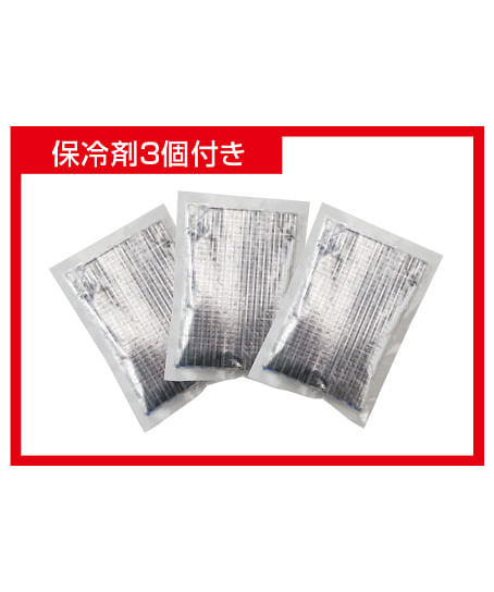 保冷剤ベスト（保冷剤付/消臭加工）